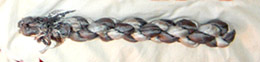 twisty1.jpg (6426 bytes)