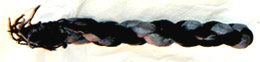 twisty2.jpg (6071 bytes)